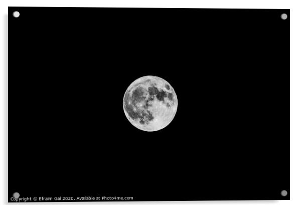 Our Moon  Acrylic by Efraim Gal