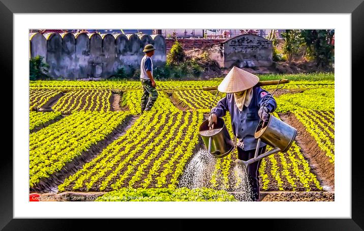 The Women of Vietnams Crop Fields Framed Mounted Print by Ian Stone