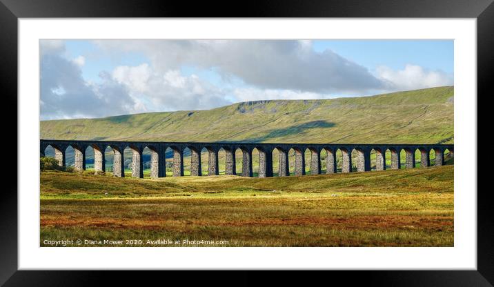 Ribblehead Viaduct in Autumn Framed Mounted Print by Diana Mower