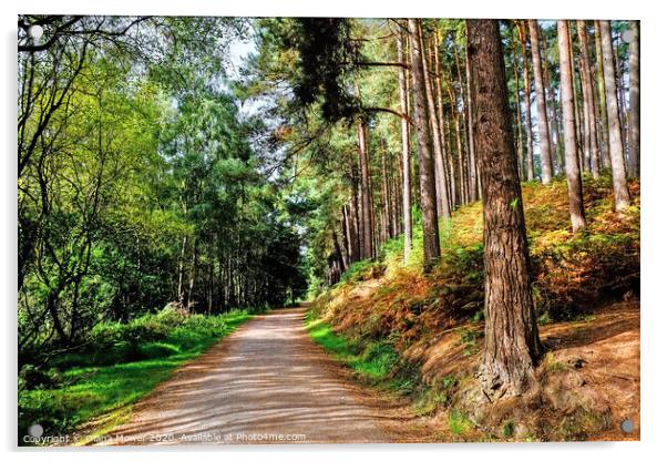 Cannock Chase Path Acrylic by Diana Mower