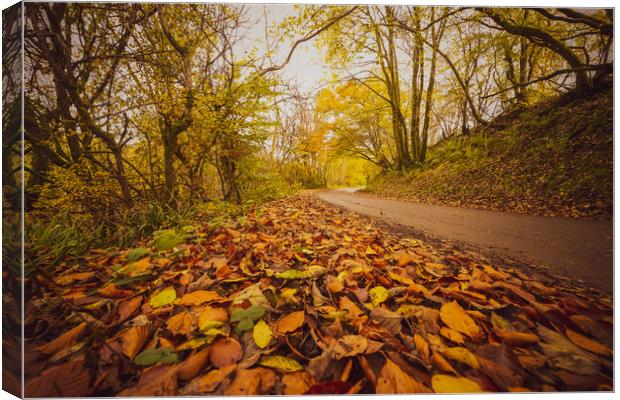 Sunlit Path of Autumn Canvas Print by Duncan Loraine