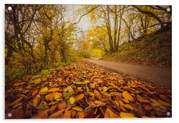 Sunlit Path of Autumn Acrylic by Duncan Loraine