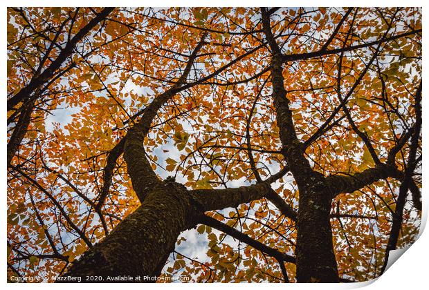 Falling for autumn Print by MazzBerg 