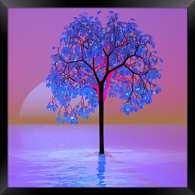 Tree Sunset-digital art Framed Print by Matthew Lacey