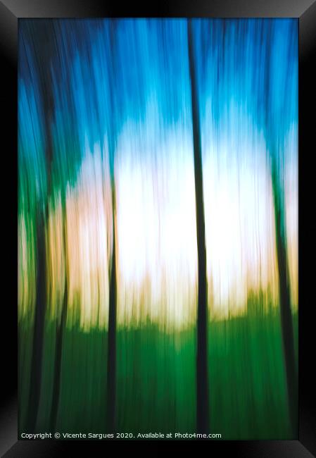 Abstract woodland Framed Print by Vicente Sargues