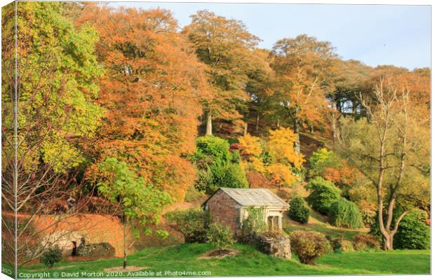 Autumn Colours at Castle Hill Canvas Print by David Morton