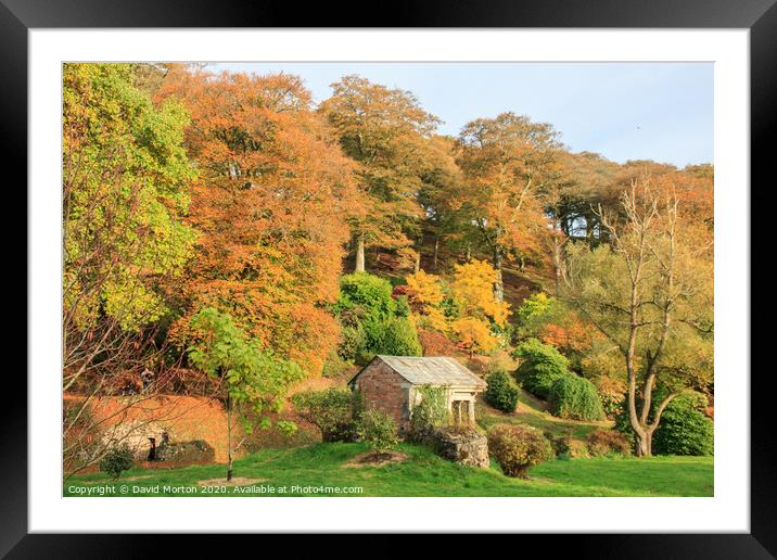 Autumn Colours at Castle Hill Framed Mounted Print by David Morton