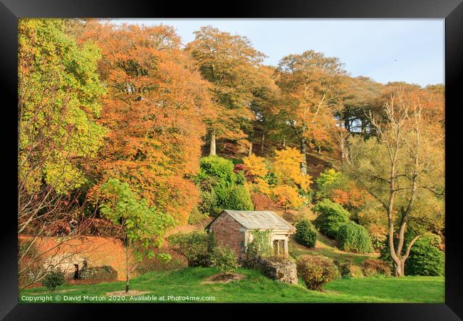 Autumn Colours at Castle Hill Framed Print by David Morton