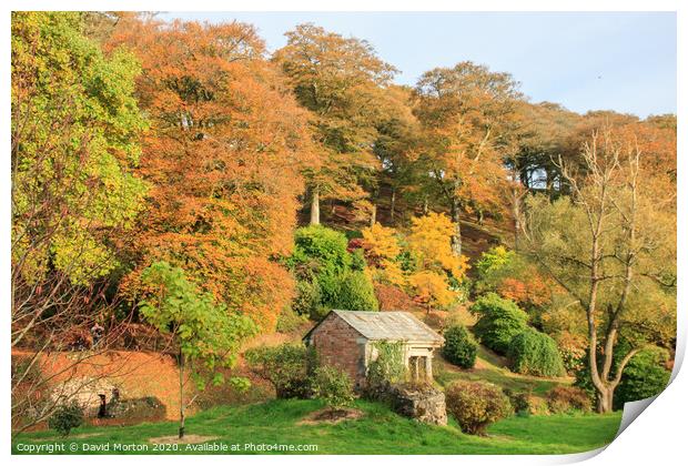 Autumn Colours at Castle Hill Print by David Morton