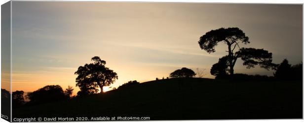 Trees Silhouetted Against Evening Sky Canvas Print by David Morton