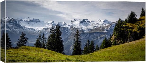 Wonderful panoramic view over the Swiss Alps - view from Schynige Platte Mountain Canvas Print by Erik Lattwein