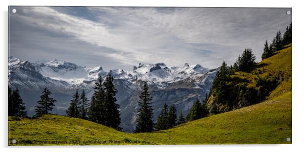 Wonderful panoramic view over the Swiss Alps - view from Schynige Platte Mountain Acrylic by Erik Lattwein