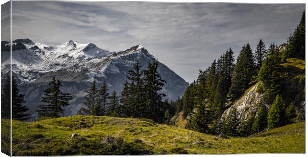 Wonderful panoramic view over the Swiss Alps - view from Schynige Platte Mountain Canvas Print by Erik Lattwein