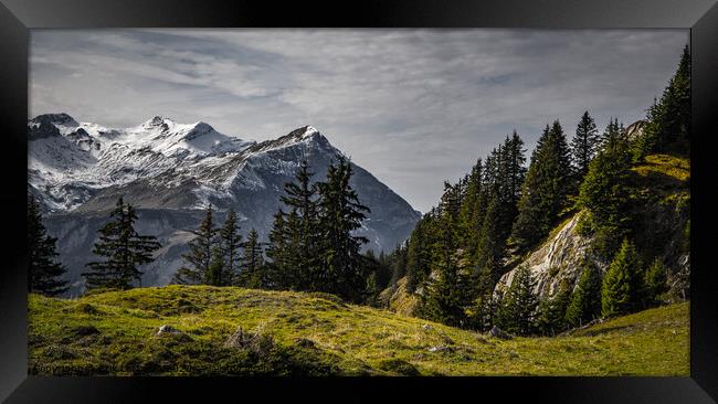 Wonderful panoramic view over the Swiss Alps - view from Schynige Platte Mountain Framed Print by Erik Lattwein