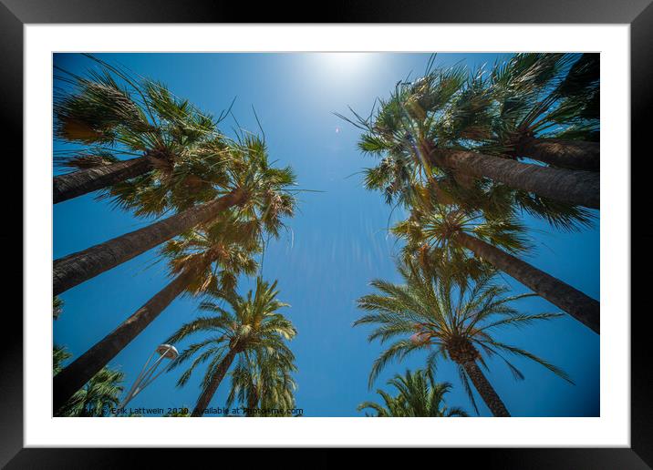 Palm Trees against a blue sky perfect holiday feeling Framed Mounted Print by Erik Lattwein