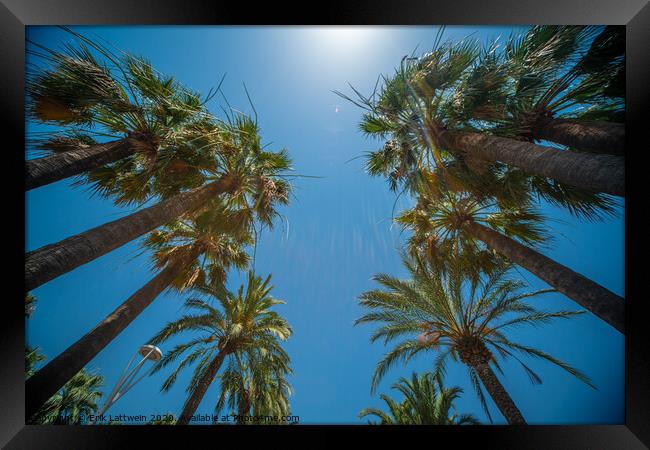 Palm Trees against a blue sky perfect holiday feeling Framed Print by Erik Lattwein