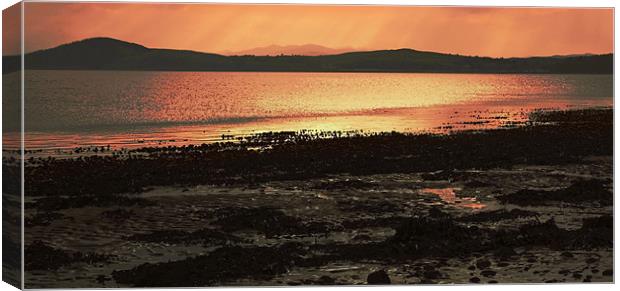 Sunset over the Moray Firth Canvas Print by Catherine Fowler