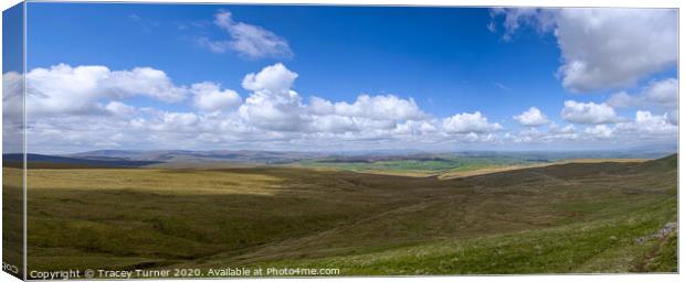 Yorkshire Dales Natural Beauty - Panorama Canvas Print by Tracey Turner
