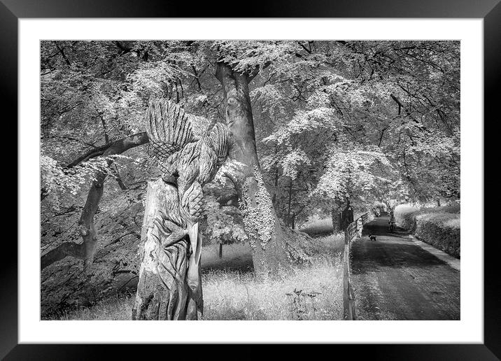 A person sitting in a tree Framed Mounted Print by mike morley