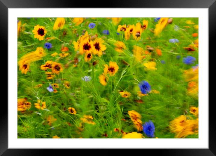 Outdoor field Framed Mounted Print by mike morley
