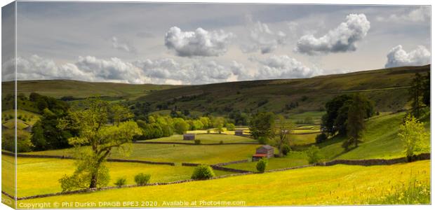 A Yorkshire Dales  Field With Barn Canvas Print by Phil Durkin DPAGB BPE4