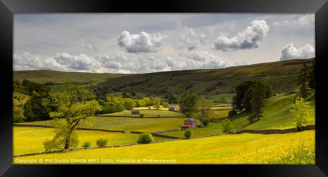 A Yorkshire Dales  Field With Barn Framed Print by Phil Durkin DPAGB BPE4