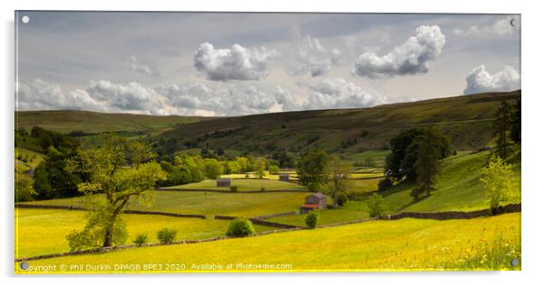A Yorkshire Dales  Field With Barn Acrylic by Phil Durkin DPAGB BPE4