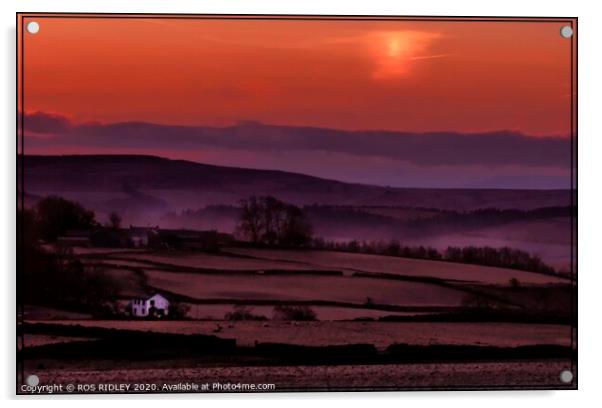 "Misty sunrise at Whitbarrow" Acrylic by ROS RIDLEY