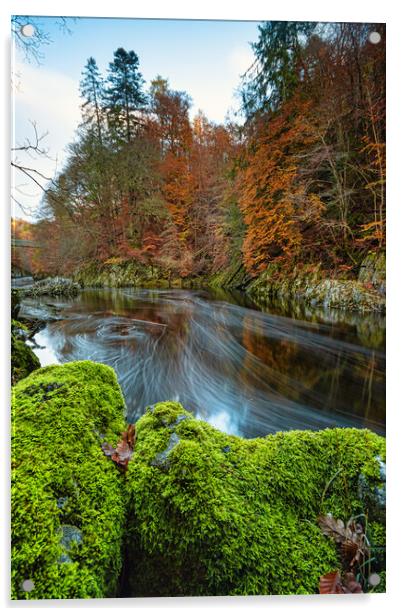 The Enchanting Autumn River Acrylic by Stuart Jack