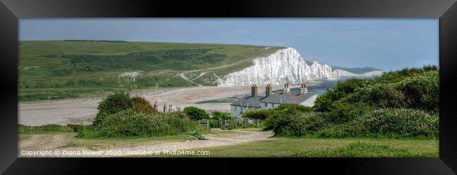 Seven Sisters and Cuckmere Haven Panoramic Framed Print by Diana Mower