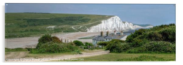 Seven Sisters and Cuckmere Haven Panoramic Acrylic by Diana Mower