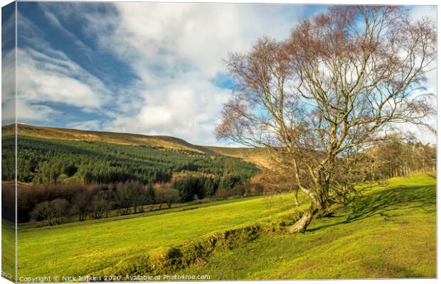 Upper Taf Fechan Valley Brecon Beacons South Wales Canvas Print by Nick Jenkins