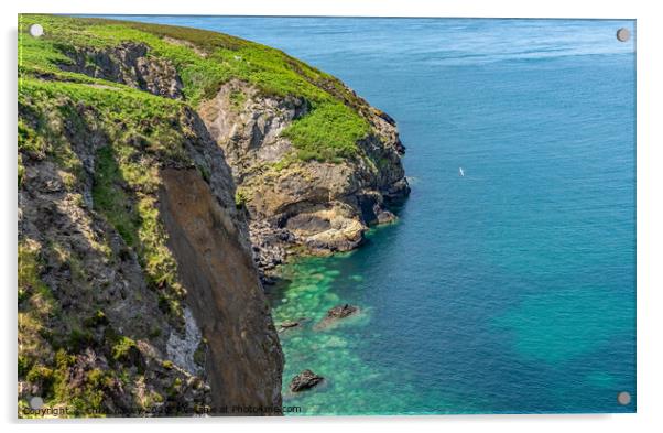 Ramsey Island, Wales Acrylic by Chris Yaxley
