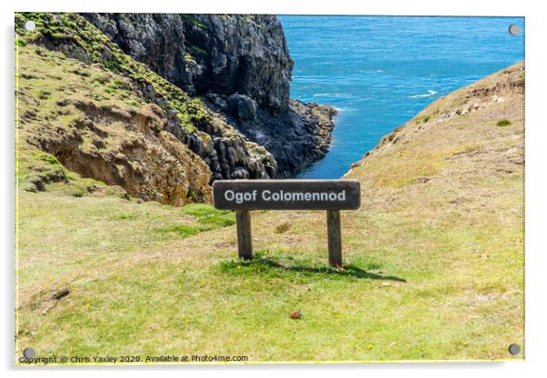 Ogof Colomennod, Ramsey Island Acrylic by Chris Yaxley