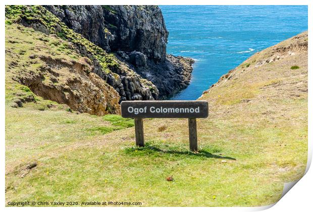 Ogof Colomennod, Ramsey Island Print by Chris Yaxley