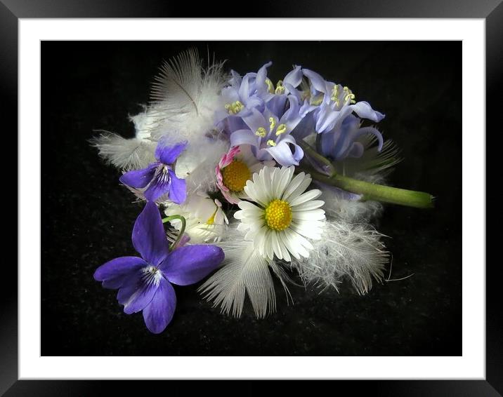 Flowers and Feathers Framed Mounted Print by barbara croft
