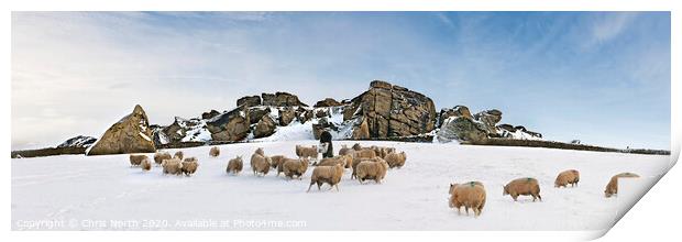 Winter feed at Almscliff Crags, North Yorkshire. Print by Chris North