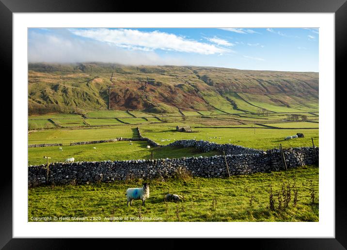 Littondale, Yorkshire Dales Framed Mounted Print by Heidi Stewart