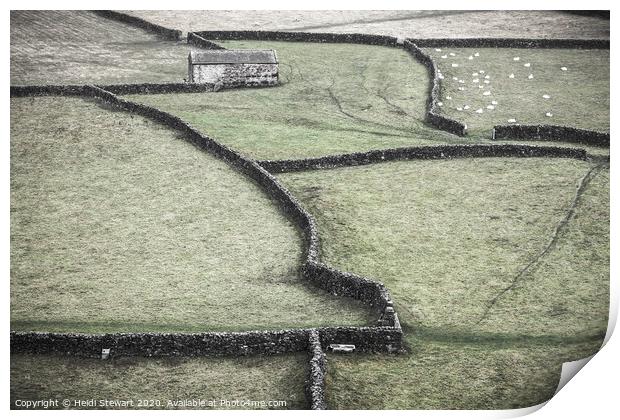 Dry Stone Walls and Barn Print by Heidi Stewart