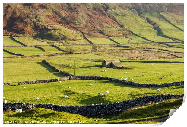 Rural Landscape, Littondale, Yorkshire Dales Print by Heidi Stewart