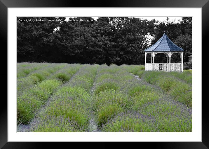 Enchanting Lavender Paradise Framed Mounted Print by Andrew Heaps