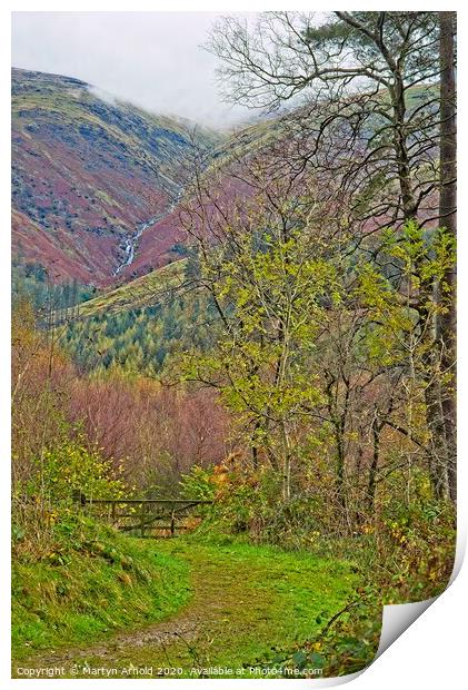 Thirlmere View to Helvellyn Ridge Print by Martyn Arnold