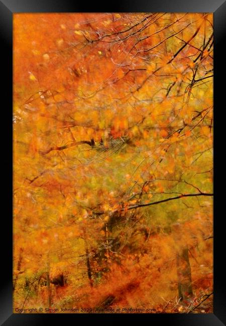 Impressionist image of Broadway Woods Framed Print by Simon Johnson