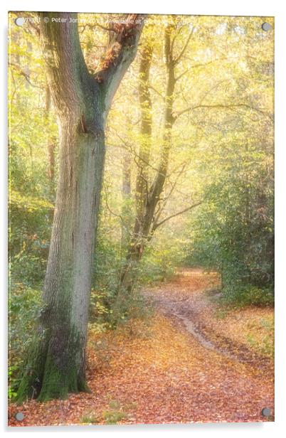 Autumnal Path Acrylic by Peter Jones