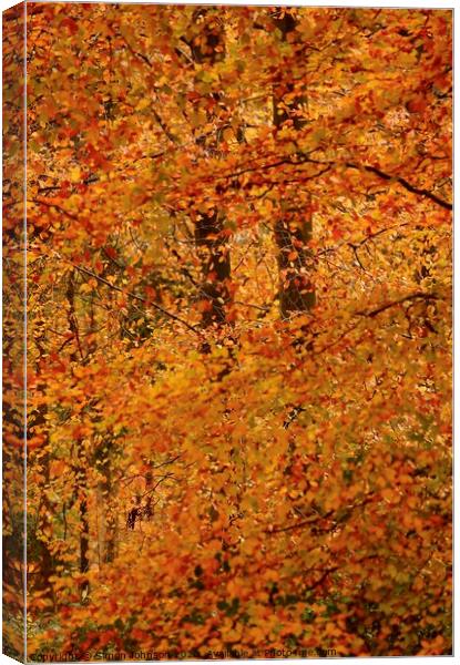 Impressionist Autumn woodland Canvas Print by Simon Johnson