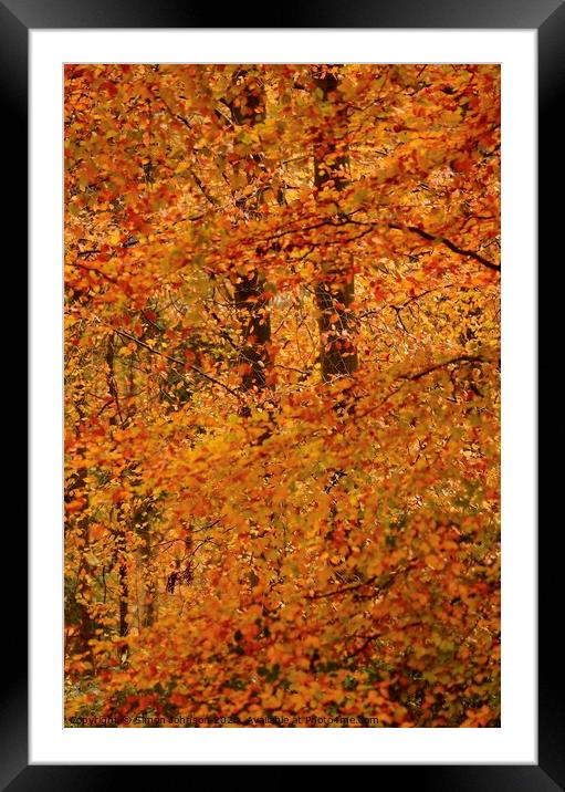 Impressionist Autumn woodland Framed Mounted Print by Simon Johnson