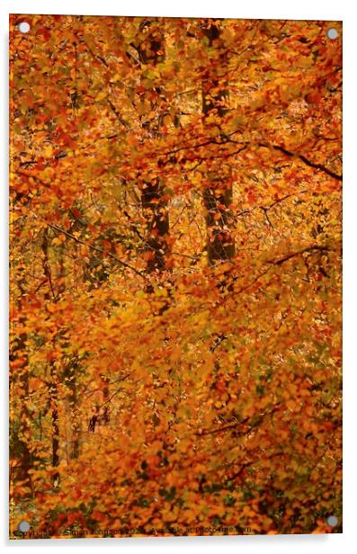 Impressionist Autumn woodland Acrylic by Simon Johnson