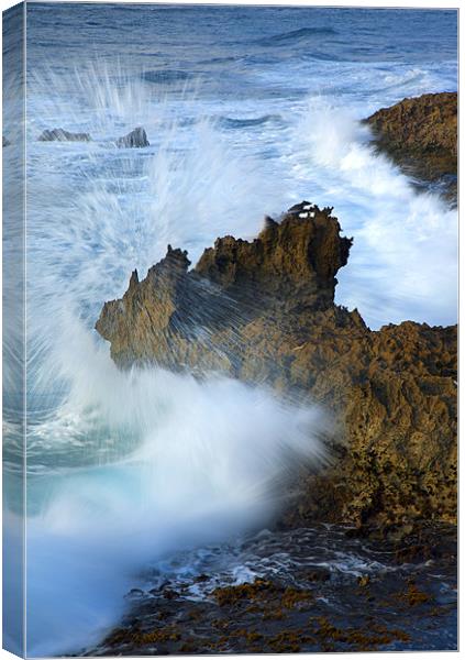 Carved by the Sea Canvas Print by Mike Dawson