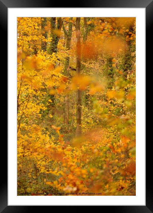 Autumn woodland impressionist image Framed Mounted Print by Simon Johnson