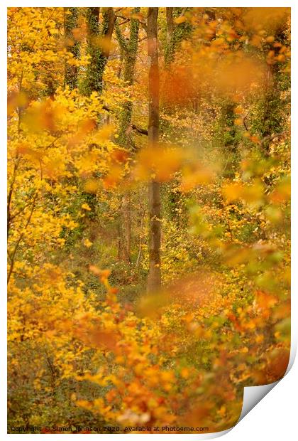 Autumn woodland impressionist image Print by Simon Johnson